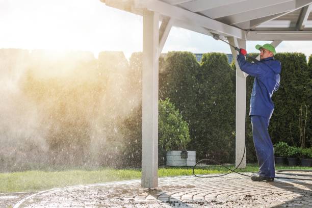 Best Fence Cleaning and Maintenance in Springfield, MN