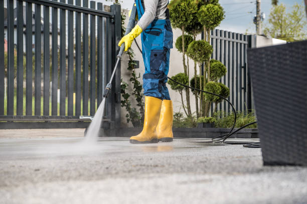 Best Gutter Cleaning and Brightening in Springfield, MN