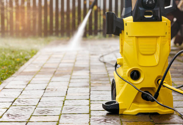 Best Roof Cleaning and Mildew Removal in Springfield, MN